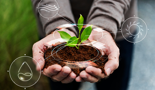 The Impact Architecture: How Infoglen Executes the Infoglen Sustainability Roadmap 2030
