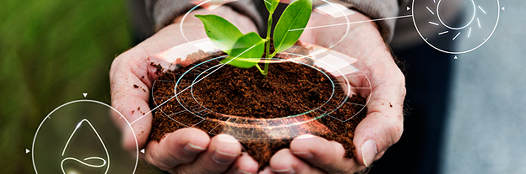 How Infoglen Executes the Infoglen Sustainability Roadmap 2030